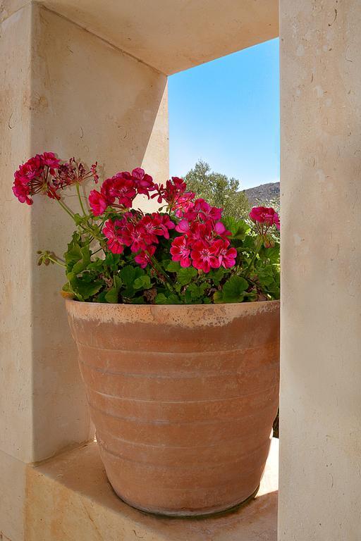 Olive Coast Suites Palekastro Exterior foto